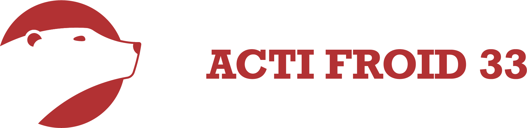 Climatisation Actifroid 33